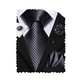 Hi-Tie Ties for Men Tie and Lapel Pin Set Paisley Stripe Necktie Handkerchief Cufflink Wedding Party,Grey