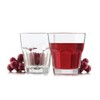 Libbey Gibraltar DuraTuff 9 oz Rocks Glass