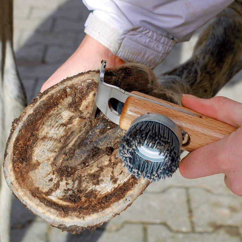 Peers Versandhandel Mid Size Hoof Pick (Medium, Grey)