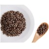 Solo Therapy Té De Hierbas Vitex De Sauce 56 Gramos-