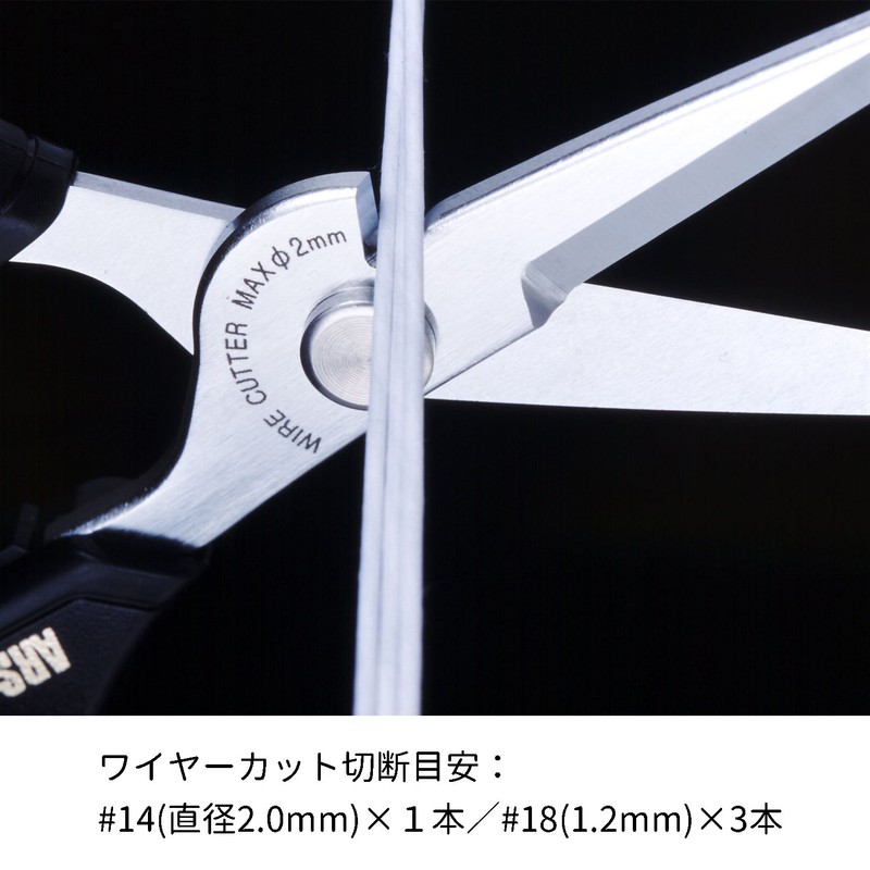 3100-BK Ars Nouveau double black