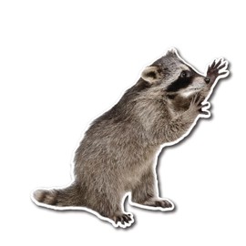 Raccoon Climbing Funny Sticker 4" Removable | Cute Animal Vinyl Decal for Cars, Laptops, Tumbler - Waterproof
