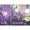 Miracle LED Kitchen Gardener 2-Socket LED Grow Light Bulb Kit