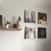 Accmuzzy Acrylic Record Wall Mount Pack of 12, Vinyl Wall