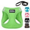 PINA Dog Harness for Small Dogs No Pull, Small Dog