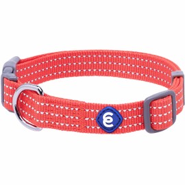 Blueberry Pet Essential Large Safety Reflective Dog Collar in FieryRed | Adjustable Classic Nylon Strap | Durable, Stylish & High-Visibility Pet Accessory