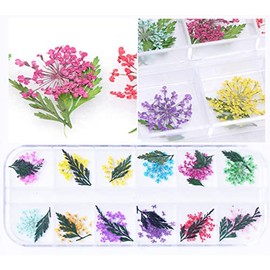 12 Color Dried Flowers & Leaves Nail Art 3D Decal, Beauties Factory Natural Style Tips Decorations Floral Box
