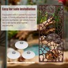 Hermit Crab Ladder Climbing Toy | Hermit Crab Accessories |