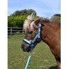 Rhinegold Unicorn Headcollar and Rope Set - Shetland - Turq