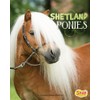 Shetland Ponies (Horse Breeds)