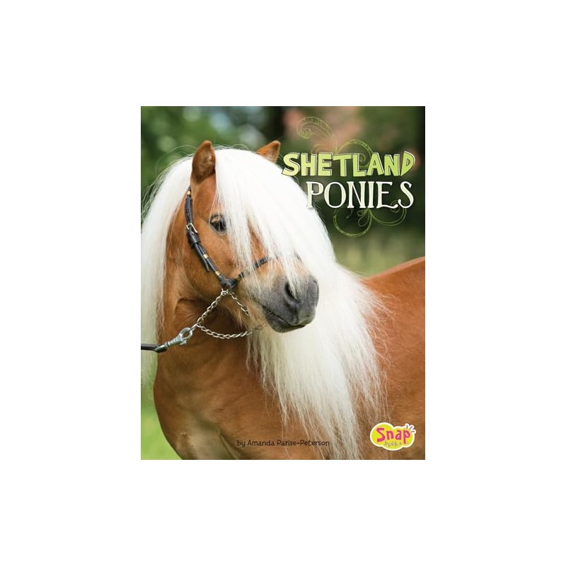 Shetland Ponies (Horse Breeds)