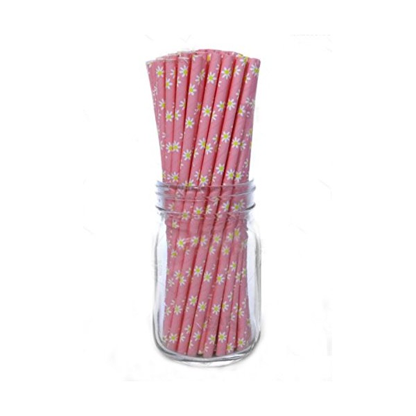 BarConic® Paper Straws - Daisy - 100 pack