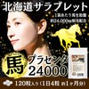 馬プラセンタ24000 お徳用120粒 北海道サラブレット胎盤使用 1日目安/4粒 約1ヶ月分 1袋当たり馬生胎盤 約24,000mg相当配合