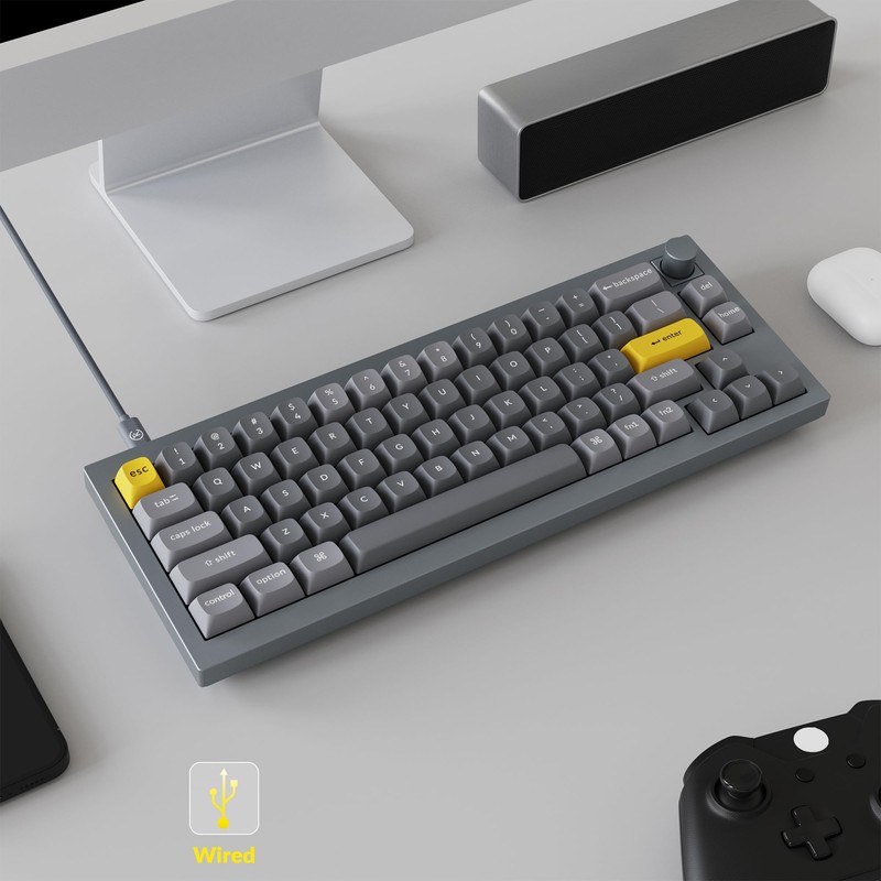 Keychron Q2 Wired 65% Mechanical Keyboard with Knob & RGB