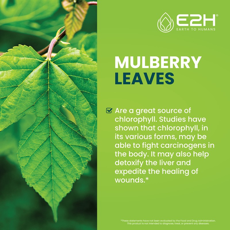 E2H Chlorophyll Liquid Drops - Natural Energy Booster, Immune System