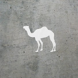 ANGDEST CLUB Decal Stickers of Camel (White) Premium Waterproof Vinyl Decal Stickers for Laptop Phone Accessory Helmet Car Window Mug Tuber Cup Door Wall Decoration ANDSKUSe5444aWH070722