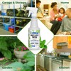 Mighty Mint Peppermint Oil Insect Repellent Spray – Natural Indoor