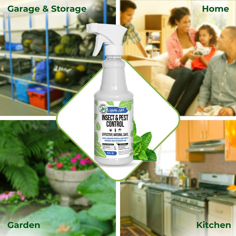 Mighty Mint Peppermint Oil Insect Repellent Spray – Natural Indoor