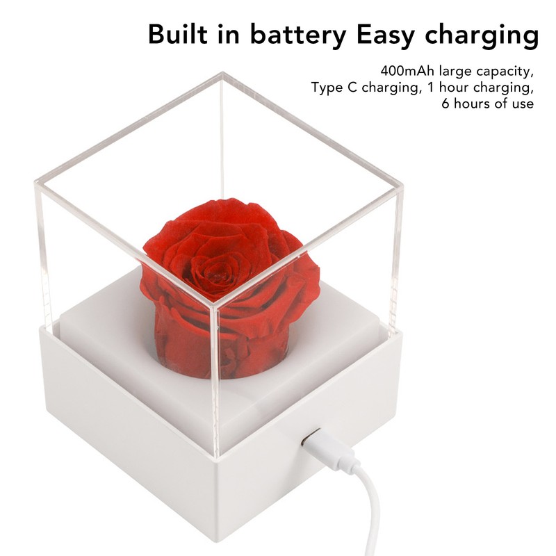 Rose Night Light Romantic Small USB Charging Soft Brightness Decoration
