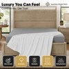 MAGNA COLLECTION King Flat Bed Sheet 275 x 265 cm