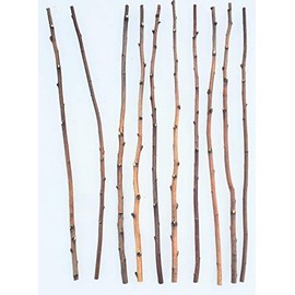 Tin Roof Treasure 4ft. Birch Pole Assortment, 4 pc. for Wood Projects