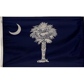 3x5 Foot (90x150 cm) State Polyester Indoor/Outdoor Flag; Vivid Color and Fade Proof - Canvas Header and Double Stitched (South Carolina)