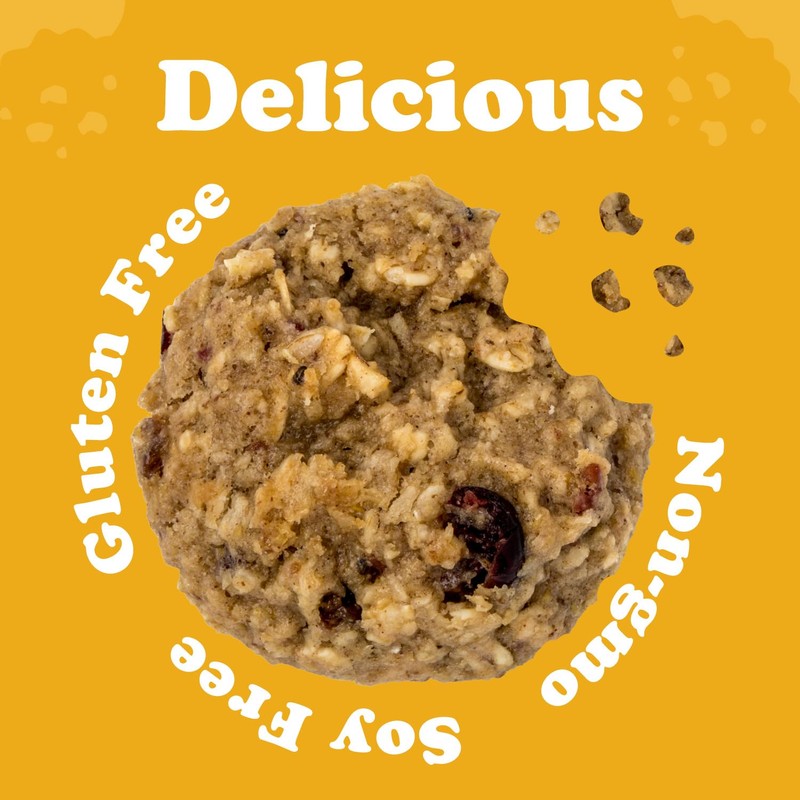 Alyssa’s Vegan Oatmeal Bites ⎸ Gluten Free Cookies, Healthy Snacks