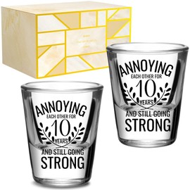 Onebttl Anniversary Cups for Couples, 10 Years Anniversary Funny Gifts for Boyfriend Girlfriend, 1.5 oz (45 ml) Shot Glasses Set of 2 - Annoying Each Other But Still Strong, Transparent