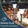 Morvat LED Solar Powered Outdoor Landscape Path Lights with Stainless