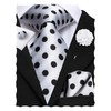 Hi-Tie Men's Tie Lapel Pin Set White Black Dots Pocket