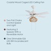 RIVER OF GOODS Coastal Wood Caged LED Ceiling Fan -