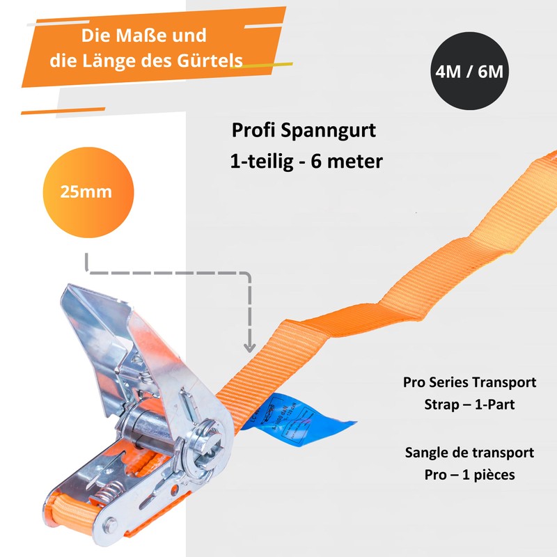INTAKO 2 Stück Spanngurte mit Ratsche (4m oder 6m) -
