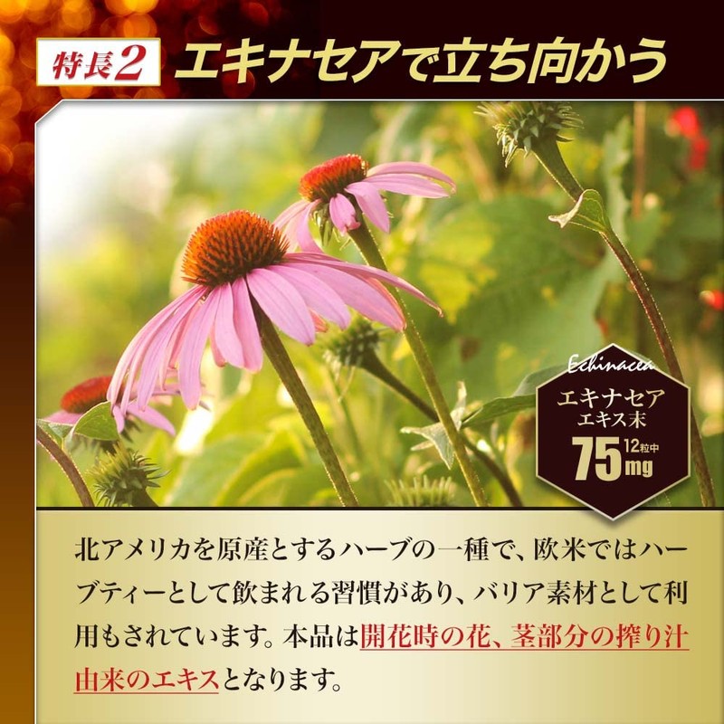 ユウキ製薬 水溶性 アガリクス DX 3個セット 90日分 360粒 サプリ βグルカン