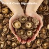SZMHYZ Dried Shiitake Mushrooms Whole– All-Natural, No Sulfur, Easy Rehydrate,