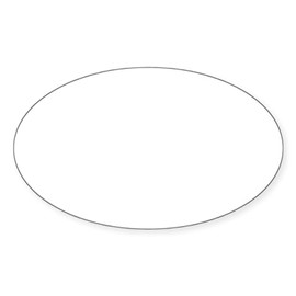 CafePress Hacking is Feeling Can't Explain Cyber Sticker Oval Car Bumper Sticker(10-Pack)