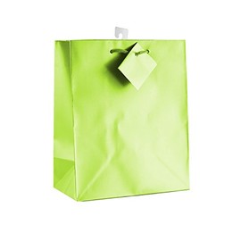 12-PC Solid Color Gift Bags, Matt Laminated, Lime Color