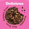Alyssa’s Chocobites ⎸ Gluten Free Cookies, Healthy Snacks from the