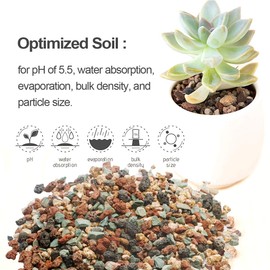 TOYPOPOR Mix Horticultural Lava Rock Pebbles Pumice Potting Soil Amendment Succulent Cactus Bonsai Gritty Rock Decorative Gravel Plant Drainage Volcanic for Terrarium Fairy Gardening Top Dressing 6lb