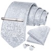 DiBanGu Mens Paisley Tie Formal Silk Tie & Pocket Square