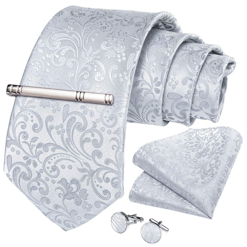 DiBanGu Mens Paisley Tie Formal Silk Tie & Pocket Square