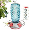 Grateful Gnome - Hummingbird Feeder - Hand Blown Glass -