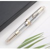 JINHAO DADAO 9019 Fountain Pen Acrylic Ink Pen with Ink