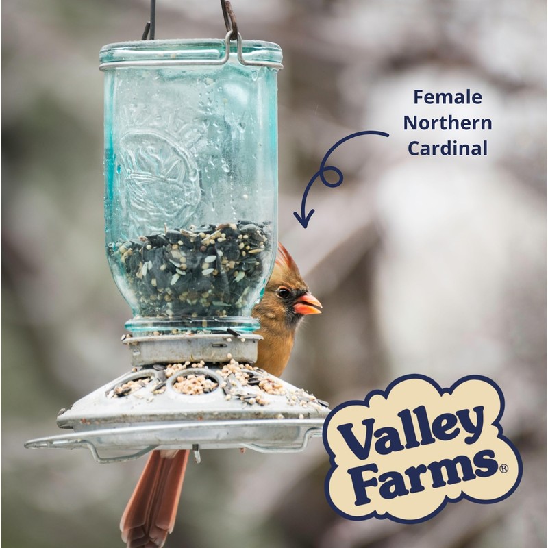 Valley Farms Super Deluxe Wild Bird Food (15 LB) for