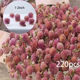 CITYES 220 Pcs Dried Flower Heads for Crafts Pink Globe Amaranth Dried Flowers Heads Bulk Natural Dried Gomphrena Globosa Flower Dry Flower Arrangements for Wedding Decor Home Party Headband DIY