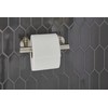 Gerber Parma Wall Mounted Toilet Paper Roll Holder D446258BN, Modern