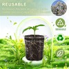 WandaQueen 30 Packs 5 Inch Reinforced Clear Nursery Pots for