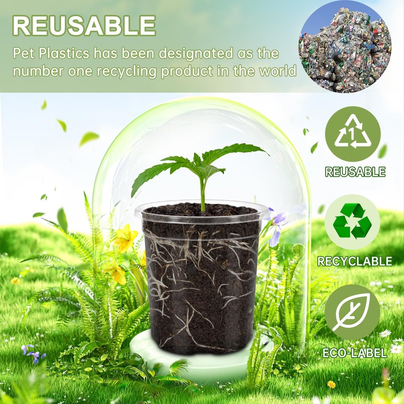 WandaQueen 30 Packs 5 Inch Reinforced Clear Nursery Pots for