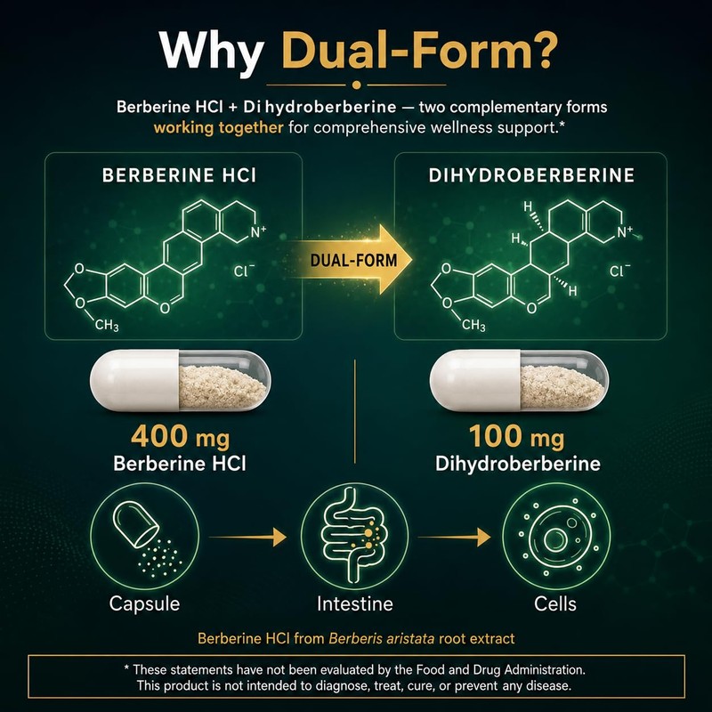 Berberine Supplement 500 mg, Dual-Form Complex, 60 Capsules