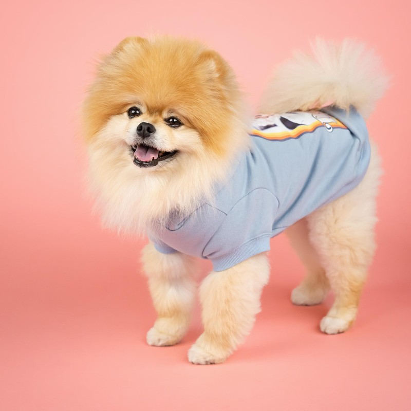 Doggy Parton Hoodie - XS