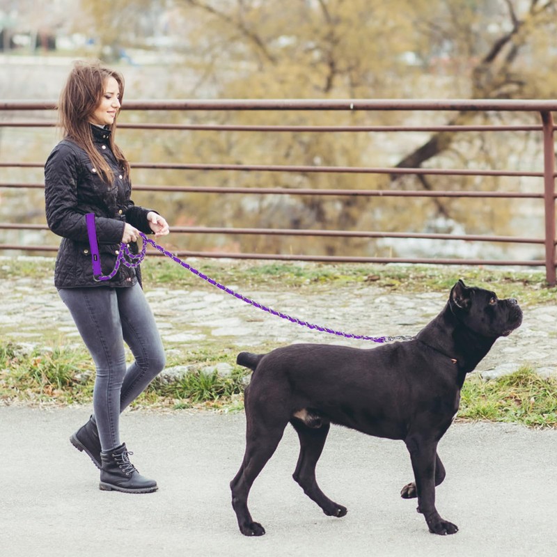 HOMIMP Chew Proof Dog Leash for Medium Large Dogs, Reflective